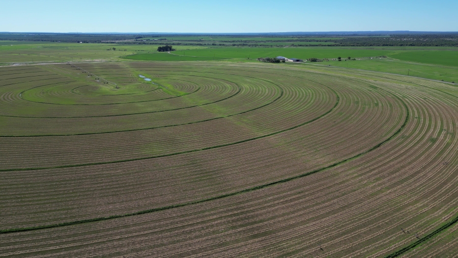 0 Bedroom Property for Sale in Douglas Rural Northern Cape